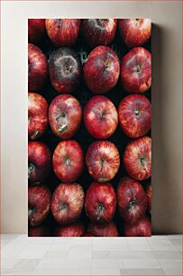 Πίνακας, Red Apples in a Grid Κόκκινα μήλα σε ένα πλέγμα