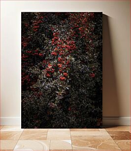 Πίνακας, Red Berries in Dense Foliage Κόκκινα μούρα σε πυκνό φύλλωμα