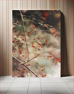 Πίνακας, Red Berries on Branch Κόκκινα μούρα στο κλαδί