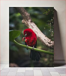 Πίνακας, Red Bird on a Branch Κόκκινο πουλί σε ένα κλαδί