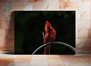 Πίνακας, Red Bird Perched Red Bird Perched