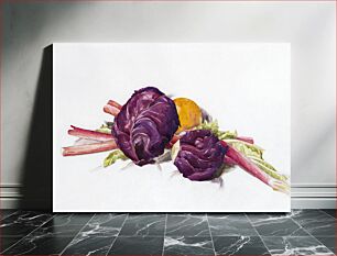 Πίνακας, Red Cabbages, Rhubarb and Orange (1929) by Charles Demuth