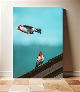 Πίνακας, Red-Crested Birds in Flight and Perched Κοκκινοστέφανα πουλιά σε πτήση και σκαρφαλωμένα