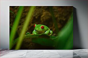 Πίνακας, Red-Eyed Tree Frog on Leaf Δεντροβάτραχος με κόκκινα μάτια στο φύλλο