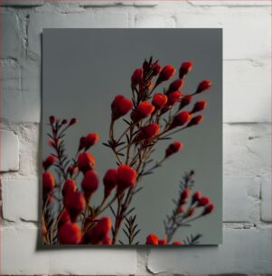 Πίνακας, Red Flower Buds Against Gray Sky Κόκκινα μπουμπούκια λουλουδιών ενάντια στον γκρίζο ουρανό