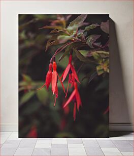 Πίνακας, Red Flowers in Bloom Κόκκινα λουλούδια στην άνθιση