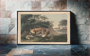 Πίνακας, Red fox / from nature and on stone by T. Doughty ; Childs Lith