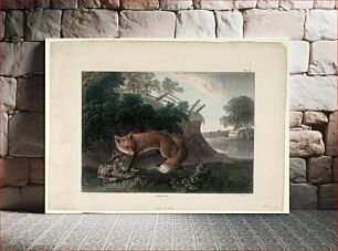 Πίνακας, Red Fox, Smithsonian National Museum of African Art