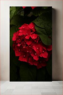 Πίνακας, Red Hydrangea Blossom Κόκκινο άνθος ορτανσίας