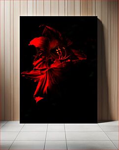 Πίνακας, Red Lily in the Dark Red Lily in the Dark
