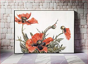Πίνακας, Red Poppies (1929) by Charles Demuth