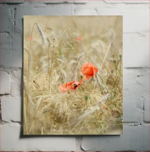 Πίνακας, Red Poppies in Wheat Field Κόκκινες παπαρούνες στο σιτάρι