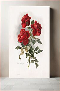 Πίνακας, Red Roses (1861-1897), vntage flower illustration by Grace Barton Allen