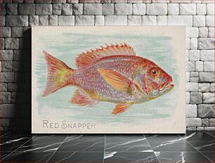 Πίνακας, Red Snapper, from the Fish from American Waters series (N8) for Allen & Ginter Cigarettes Brands