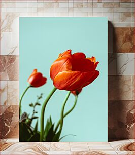 Πίνακας, Red Tulips on Light Blue Background Κόκκινες τουλίπες σε γαλάζιο φόντο