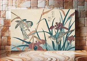 Πίνακας, Reed Warbler with Reeds and Iris by Kitao Shigemasa
