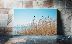 Πίνακας, Reeds by the Lake Καλάμια δίπλα στη λίμνη