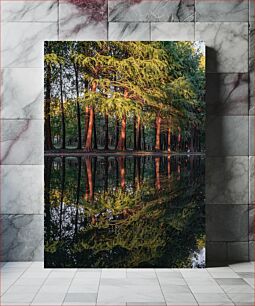 Πίνακας, Reflected Trees Over Water Ανακλώμενα δέντρα πάνω από το νερό