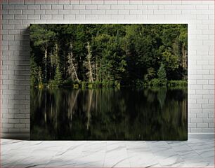 Πίνακας, Reflection of Trees on a Lake Αντανάκλαση των δέντρων σε μια λίμνη