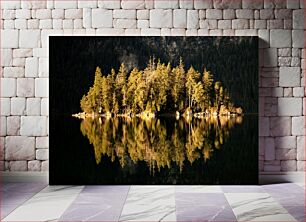 Πίνακας, Reflections of a Forest Island Αντανακλάσεις ενός δασικού νησιού