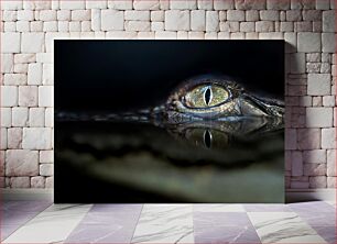 Πίνακας, Reflective Gator Eye Ανακλαστικό Gator Eye