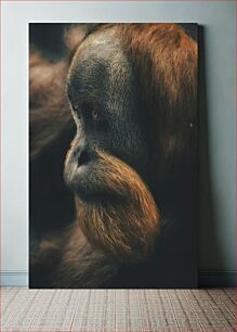Πίνακας, Reflective Orangutan Ανακλαστικός Ουρακοτάγκος