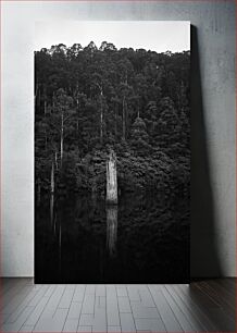 Πίνακας, Reflective Trees in Black and White Ανακλαστικά δέντρα σε μαύρο και άσπρο