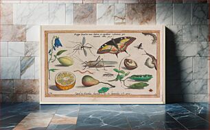 Πίνακας, Regum locustae non habent, et egreditur Universa par turmas suas. pra: 28 (1592) by Jacob Hoefnagel