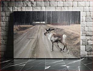 Πίνακας, Reindeer Crossing Διάβαση ταράνδων