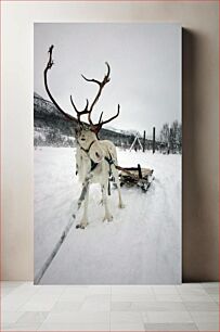 Πίνακας, Reindeer in Snow Τάρανδος στο χιόνι