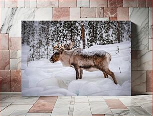 Πίνακας, Reindeer in Snowy Forest Τάρανδοι στο Χιονισμένο Δάσος