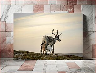 Πίνακας, Reindeer in the Wilderness Τάρανδοι στην ερημιά