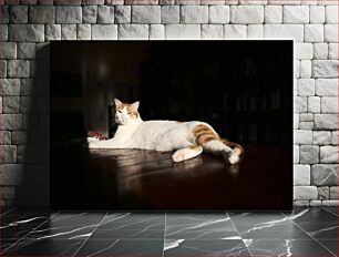 Πίνακας, Relaxed Cat on Wooden Surface Χαλαρή γάτα σε ξύλινη επιφάνεια