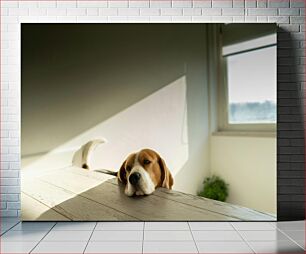 Πίνακας, Relaxed Dog by the Window Χαλαρός σκύλος δίπλα στο παράθυρο