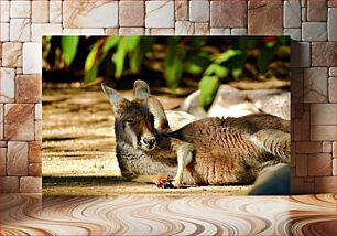 Πίνακας, Relaxed Kangaroo Χαλαρό καγκουρό