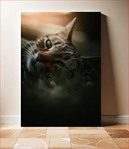 Πίνακας, Relaxing Cat Χαλαρωτική γάτα