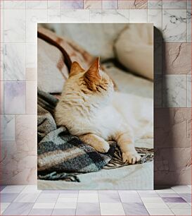 Πίνακας, Relaxing Cat on Blanket Χαλαρωτική γάτα σε κουβέρτα