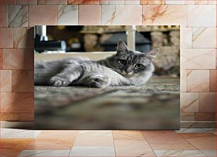 Πίνακας, Relaxing Cat on Carpet Χαλαρωτική γάτα στο χαλί