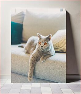 Πίνακας, Relaxing Cat on Couch Χαλαρωτική γάτα στον καναπέ
