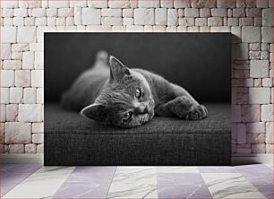 Πίνακας, Relaxing Cat on Sofa Χαλαρωτική γάτα στον καναπέ