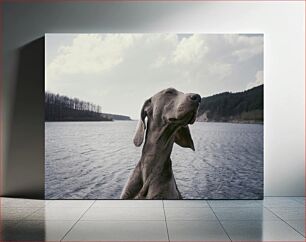 Πίνακας, Relaxing Dog by the Lake Χαλαρωτικό σκυλί δίπλα στη λίμνη