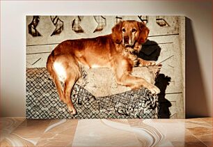 Πίνακας, Relaxing Dog Χαλαρωτικός σκύλος