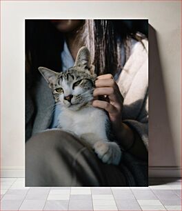 Πίνακας, Relaxing with a Cat Χαλαρώνοντας με μια γάτα