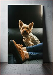 Πίνακας, Relaxing with Dog Χαλάρωση με σκύλο