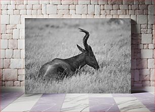 Πίνακας, Resting Antelope in Grass Ξεκουράζεται αντιλόπη στο γρασίδι
