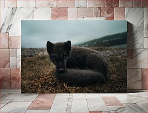 Πίνακας, Resting Arctic Fox Αναπαυόμενη Arctic Fox