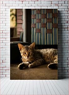Πίνακας, Resting Cat Γάτα που ξεκουράζεται