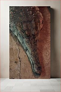 Πίνακας, Resting Crocodile Κροκόδειλος που ξεκουράζεται