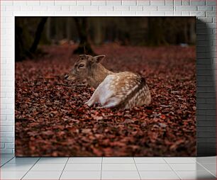 Πίνακας, Resting Deer in Autumn Leaves Ξεκουράζονται ελάφια σε Φθινοπωρινά Φύλλα