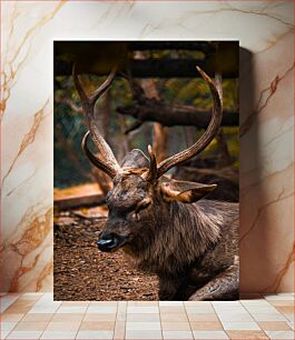 Πίνακας, Resting Deer in the Forest Αναπαύοντας ελάφια στο δάσος